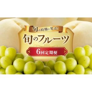 ふるさと納税 もも 岡山県 玉野市 2026年先行受付 白桃 シャインマスカット 晴王 6回 定期便 桃 ぶどう 岡山県産 御中元 ギフト 御礼 プレゼント 御礼 御祝 …