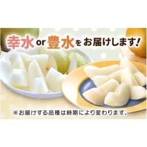 ふるさと納税 梨 福井県 坂井市 先行予約 和...の詳細画像4