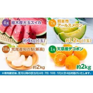 ふるさと納税 果物の詰合せ 熊本県 - 年 4...の詳細画像2