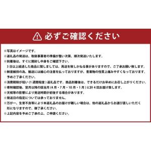 ふるさと納税 果物の詰合せ 熊本県 - 年 4...の詳細画像3
