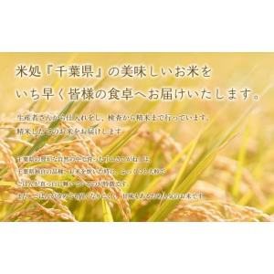 ふるさと納税 米 千葉県 大網白里市 最短2〜...の詳細画像2