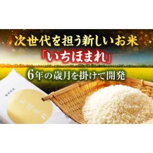 ふるさと納税 米 福井県 小浜市 12回定期便...の詳細画像2