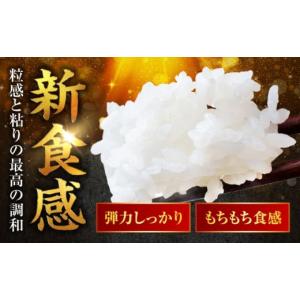 ふるさと納税 米 福井県 小浜市 12回定期便...の詳細画像3