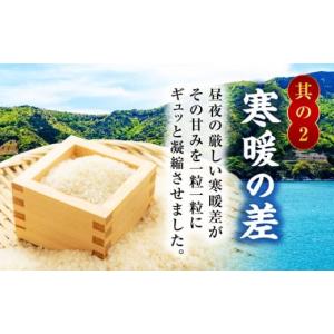 ふるさと納税 米 福井県 小浜市 12回定期便...の詳細画像5