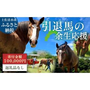 ふるさと納税 生き物 高知県 土佐清水市 引退馬 余生支援 100,000円コース 返礼品なし 養老馬 競走馬 引退競走馬 馬支援 競馬 馬 うま ウマ 馬支援 動物 あし…