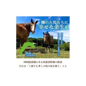 ふるさと納税 生き物 高知県 土佐清水市 引退...の詳細画像2