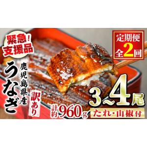 ふるさと納税 うなぎ 鹿児島県 東串良町 025...の商品画像