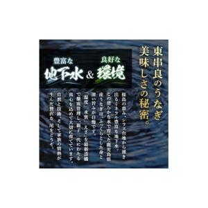 ふるさと納税 うなぎ 鹿児島県 東串良町 02...の詳細画像3