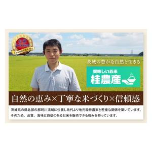 ふるさと納税 米 茨城県 水戸市 3ヶ月定期便...の詳細画像3