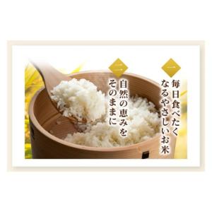 ふるさと納税 米 茨城県 水戸市 3ヶ月定期便...の詳細画像4