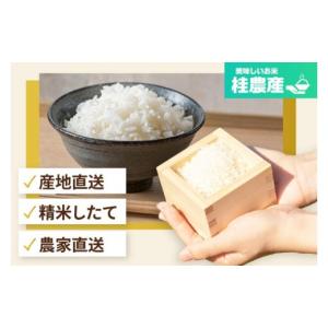 ふるさと納税 米 茨城県 水戸市 3ヶ月定期便...の詳細画像5