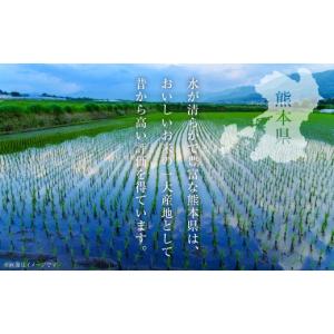 ふるさと納税 米 熊本県 八代市 令和8年熊本...の詳細画像2