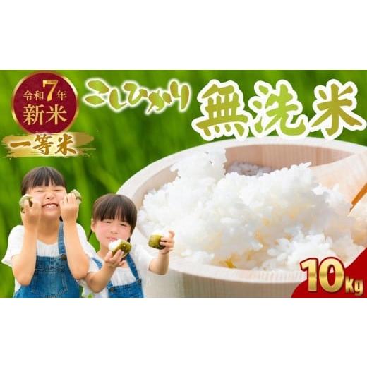 ふるさと納税 無洗米 広島県 竹原市 令和7年度新米 広島県産米 コシヒカリ 無洗米 10kg 一等...