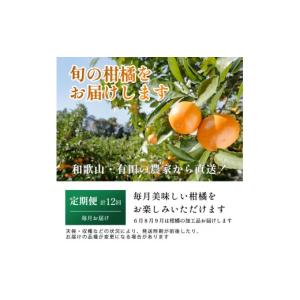 ふるさと納税 みかん・柑橘類 和歌山県 和歌山...の詳細画像2