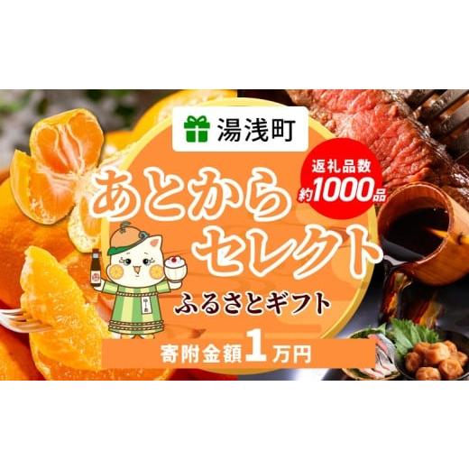 ふるさと納税 イベントやチケット等 和歌山県 湯浅町 ZZ1005_ あとからセレクト 湯浅町 ふる...