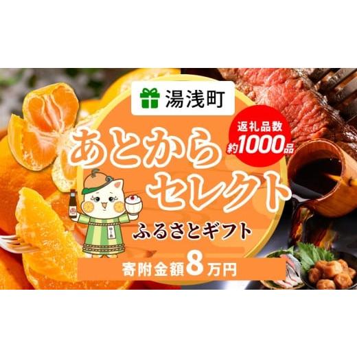 ふるさと納税 イベントやチケット等 和歌山県 湯浅町 ZZ1012_ あとからセレクト 湯浅町 ふる...