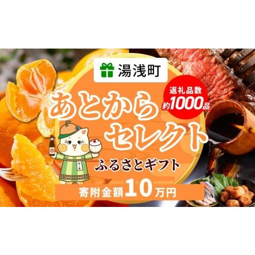 ふるさと納税 イベントやチケット等 和歌山県 湯浅町 ZZ1014_ あとからセレクト 湯浅町 ふる...
