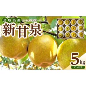ふるさと納税 梨 鳥取県 北栄町 数量限定 2...の詳細画像1