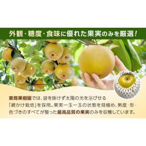 ふるさと納税 梨 鳥取県 北栄町 数量限定 2...の詳細画像3