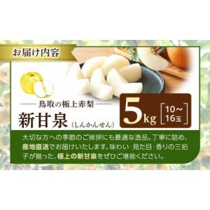 ふるさと納税 梨 鳥取県 北栄町 数量限定 2...の詳細画像4
