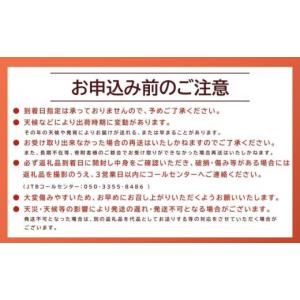 ふるさと納税 梨 鳥取県 北栄町 数量限定 2...の詳細画像5