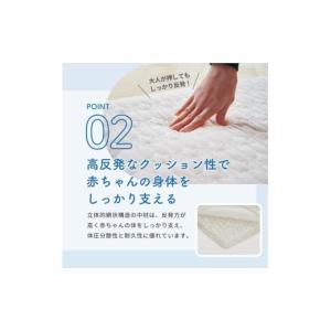 ふるさと納税 タオル・寝具 敷布団 愛知県 犬...の詳細画像5