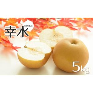 ふるさと納税 梨 栃木県 真岡市 2026年先行予約 幸水 5kg 真岡市産 梨 なし| 果物 くだもの フルーツ 梨 なし プレゼント ご褒美 甘い 贈答 秋 大きい 送料無…