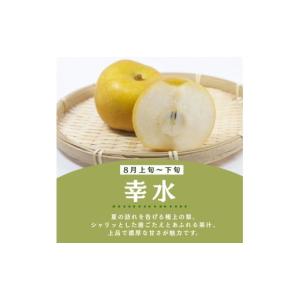 ふるさと納税 梨 栃木県 真岡市 2026年先...の詳細画像3