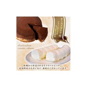 ふるさと納税 ケーキ・カステラ チーズケーキ ...の詳細画像3
