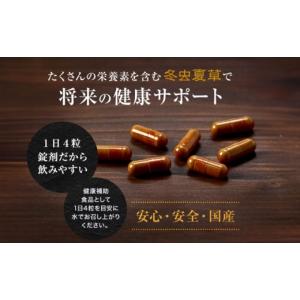 ふるさと納税 加工品等 熊本県 合志市 冬虫夏...の詳細画像5