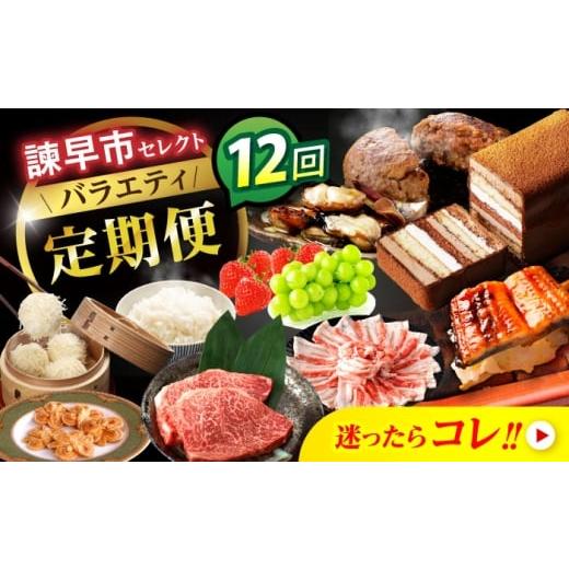 ふるさと納税 自治体にお任せ 長崎県 諫早市  諫早市市制施行20周年特別企画 12回定期便 バラエ...