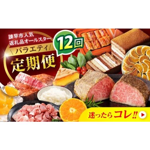 ふるさと納税 自治体にお任せ 長崎県 諫早市  諫早市市制施行20周年特別企画 12回定期便 バラエ...