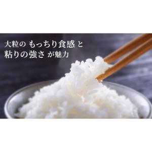 ふるさと納税 米 茨城県 桜川市 ＼スピード出...の詳細画像3