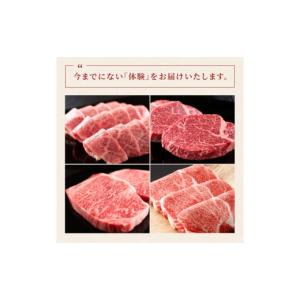 ふるさと納税 牛肉 セット 長崎県 島原市 A...の詳細画像5