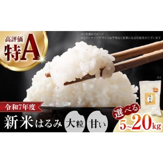 ふるさと納税 米 神奈川県 開成町  令和7年産 特Aランク受賞実績あり はるみ 選べる容量 5kg...