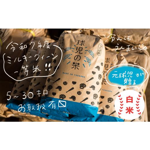 ふるさと納税 米 ミルキークイーン 茨城県 つくば市 令和7年産 一等米 球児の米 （ ミルキークイ...