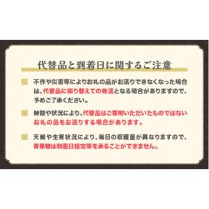 ふるさと納税 もも 山形県 尾花沢市 先行予約...の詳細画像4