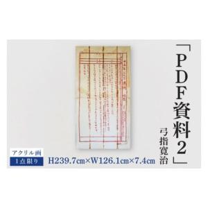 ふるさと納税 雑貨・日用品 絵画 茨城県 水戸市 気鋭のアーティスト・弓指寛治の作品を特別出品 弓指寛治「PDF資料2（ぴーでぃーえふしりょう２）」１点限り …