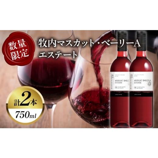 ふるさと納税 ワイン 赤ワイン 宮崎県 都農町  数量限定 牧内マスカット・ベーリーAエステート 2...