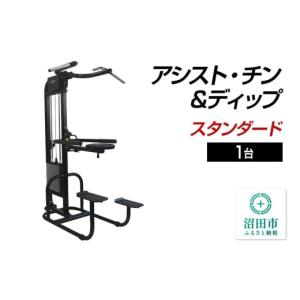 ふるさと納税 スポーツ・アウトドア 群馬県 沼田市 《3月31日受付終了》SS-G アシスト・チン＆ディップ スタンダード BB553000 トレーニング器具 筋トレ ホー…