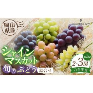 ふるさと納税 ぶどう マスカット 岡山県 真庭市 2026年先行予約 旬のぶどう詰め合わせ 2種 約1kg 2~3房 岡山産 家庭用 ｜ ぶどう 葡萄 果物 岡山県産 送料無…