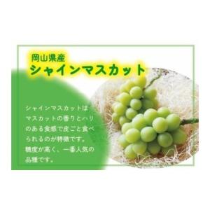 ふるさと納税 ぶどう マスカット 岡山県 真庭...の詳細画像3