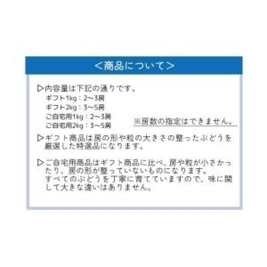 ふるさと納税 ぶどう マスカット 岡山県 真庭...の詳細画像4