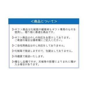 ふるさと納税 ぶどう マスカット 岡山県 真庭...の詳細画像5