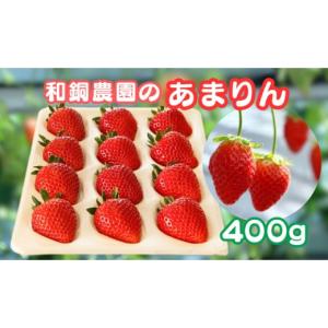 ふるさと納税 横瀬町 【数量限定】埼玉県限定いちご「あまりん」2