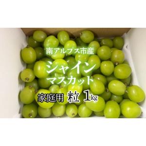 ふるさと納税 ぶどう マスカット 山梨県 南ア...の詳細画像1