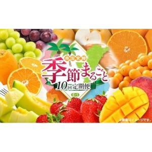 ふるさと納税 果物の詰合せ 宮崎県 - 10回定期便 旬 人気 フルーツ 南国宮崎産 太陽のタマゴ 金柑たまたまエクセレント シャインマスカット ピオーネ いちご …