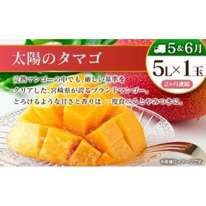 ふるさと納税 果物の詰合せ 宮崎県 - 10回...の詳細画像5