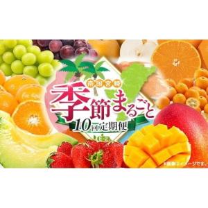 ふるさと納税 果物の詰合せ 宮崎県 - 10回定期便 旬 人気 フルーツ 南国宮崎産 マンゴー 金柑たまたま シャインマスカット ピオーネ いちご みかん 梨 メロン…