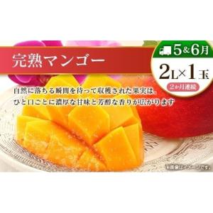 ふるさと納税 果物の詰合せ 宮崎県 - 10回...の詳細画像4